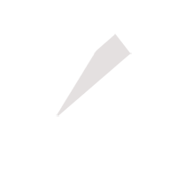 宝鸡临时保镖服务